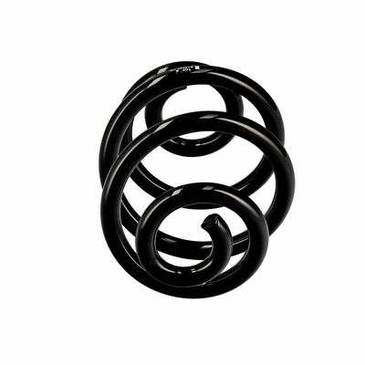 ARC SPIRAL EIBACH R10030 13