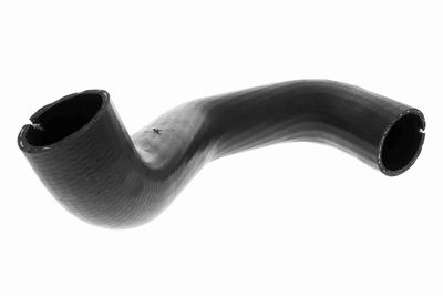 FURTUN EAR SUPRAALIMENTARE