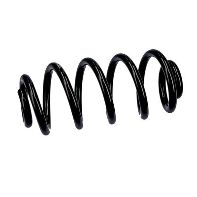 ARC SPIRAL EIBACH R10553 6