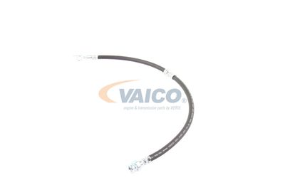 FURTUN FRANA VAICO V103077 21