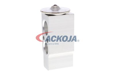 SUPAPA EXPANSIUNE CLIMA ACKOJA A26770002 45