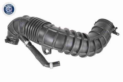 FURTUN EAR SUPRAALIMENTARE ACKOJA A520641 1