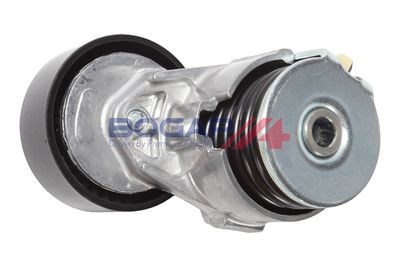 INTINZATOR CUREA CUREA DISTRIBUTIE BOGAP R1317101 5