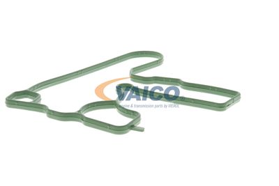 DICHTUNG KURBELGEHäUSEENTLüFTUNG VAICO V103884 52