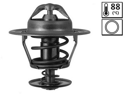 TERMOSTAT LICHID RACIRE