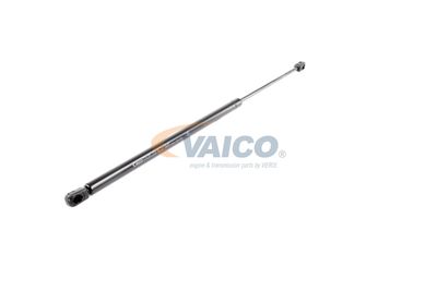 GASFEDER KOFFER-/LADERAUM VAICO V249654 54