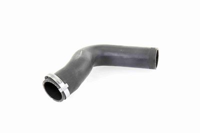 FURTUN EAR SUPRAALIMENTARE