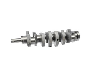 ARBORE COTIT ET ENGINETEAM HK0164 17