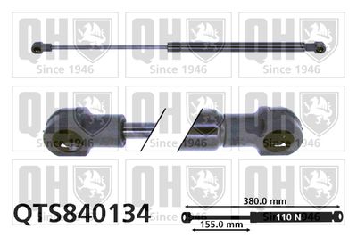QUINTON HAZELL QTS840134 Амортизатор багажника и капота  для FIAT PUNTO (Фиат Пунто)