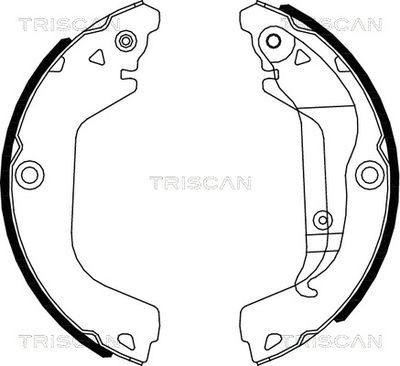 TRISCAN 8100 21002 Ремкомплект барабанных колодок  для CHEVROLET CRUZE (Шевроле Крузе)