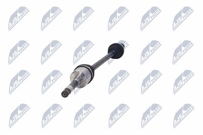 PLANETARA NTY NPWAR016 36