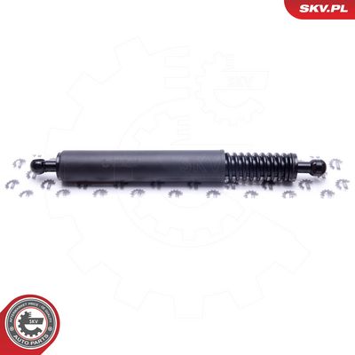 Dujinė spyruoklė, bagažinė