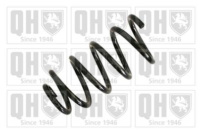 QUINTON HAZELL QCS6807 Пружина подвески  для FIAT (Фиат)