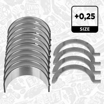 SET RULEMT ARBORE COTIT