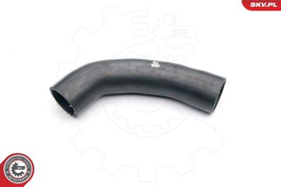 FURTUN EAR SUPRAALIMENTARE