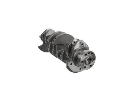 ARBORE COTIT ET ENGINETEAM HK0228 21