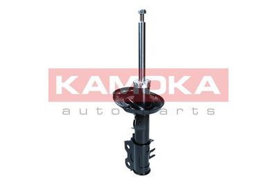 Shock Absorber 2001082