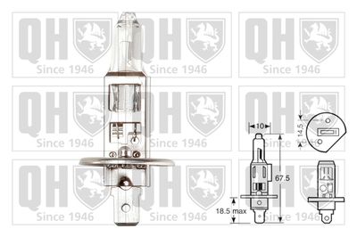 BEC FAR FAZA LUNGA QUINTON HAZELL QBL448 1