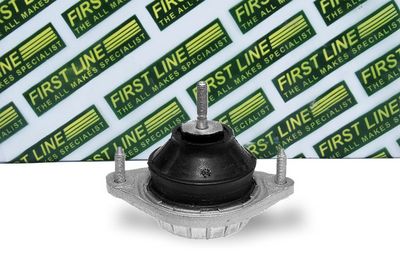 окачване, двигател FIRST LINE FEM3160