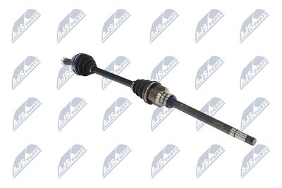 PLANETARA NTY NPWPE124 29