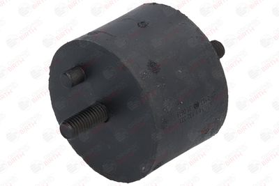 SUPORT MOTOR BIRTH 5183 12