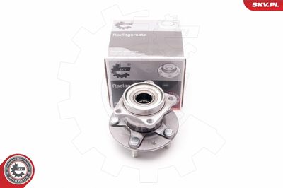 Wheel Bearing Kit 29SKV139