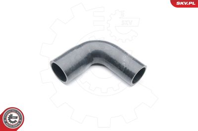 FURTUN EAR SUPRAALIMENTARE