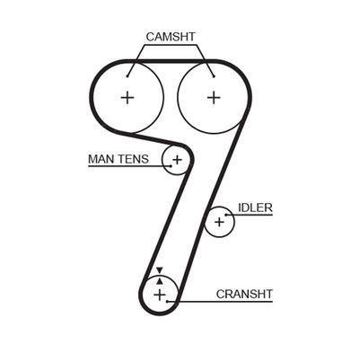 Timing Belt GATES 5336