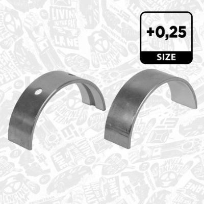 SET RULEMT ARBORE COTIT ET ENGINETEAM LH005225 1