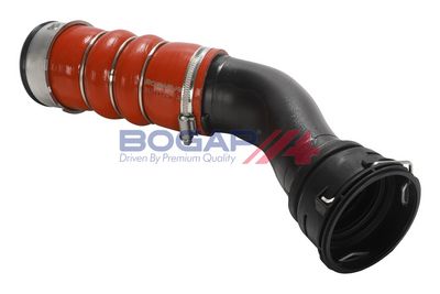 FURTUN EAR SUPRAALIMENTARE BOGAP B1711194 3