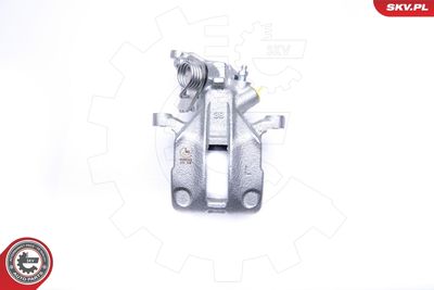 Brake Caliper 45SKV213