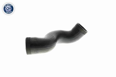 FURTUN EAR SUPRAALIMENTARE