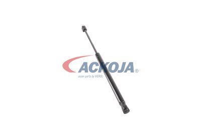 AMORTIZOR PORTBAGAJ ACKOJA A530150 47