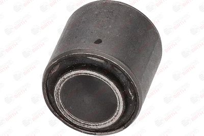 BUCSA ARBORE DE DIRECTIE BIRTH 4739 10