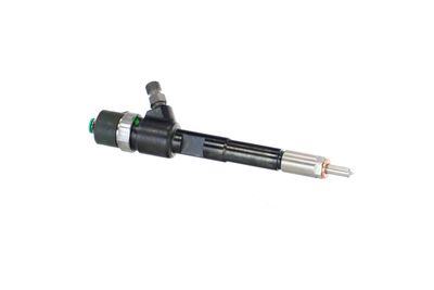 INJECTOR REMANTE 002003002244R 45