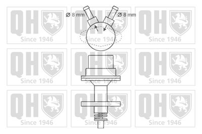 POMPA COMBUSTIBIL QUINTON HAZELL QFP2 1