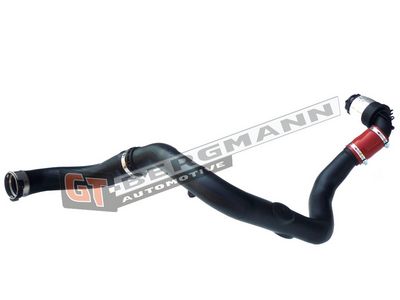GT-BERGMANN Automotive - Hadica plniaceho vzduchu (hadica turba) NISSAN , GT52-260