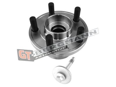 GT-BERGMANN Automotive Rato guolio komplektas