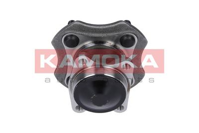 Wheel Bearing Kit 5500073