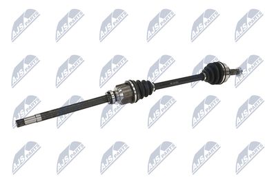 PLANETARA NTY NPWPE124 4