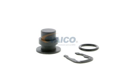 CAPAC FLANSA SISTEM DE RACIRE VAICO V100492 49