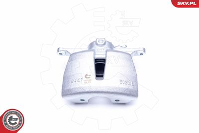 Brake Caliper 44SKV401