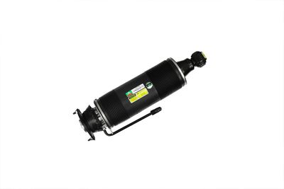 LUFTFEDERBEIN Arnott SK2485 62