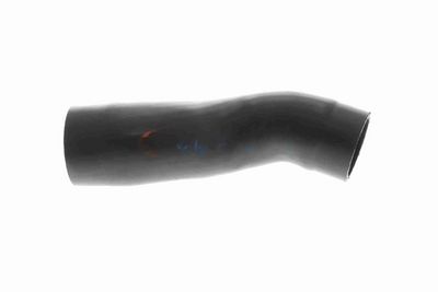 FURTUN EAR SUPRAALIMENTARE ACKOJA A529602 2