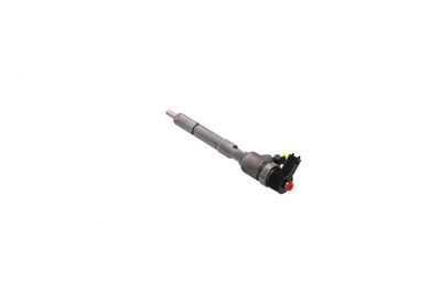 INJECTOR REMANTE 002003002124R 19