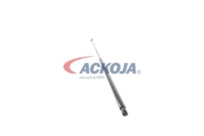 AMORTIZOR PORTBAGAJ ACKOJA A520065 49