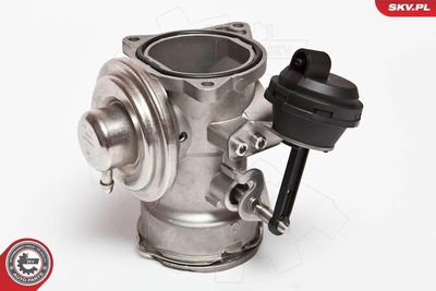 EGR Valve 14SKV025