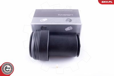 Air Spring, suspension 58SKV028