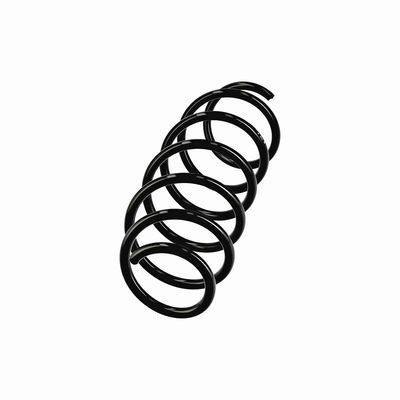 ARC SPIRAL EIBACH R11019 14