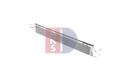 RADIATOR ULEI ULEI MOTOR AKS DASIS 176001N 9